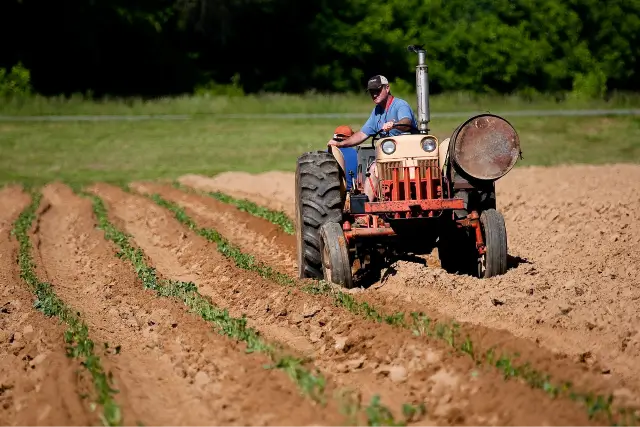 A man on a tractor in the middle of a field.