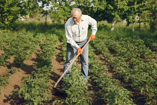 A man in white shirt holding a shovel on top of a field.
